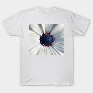 Closeup of white African daisy T-Shirt